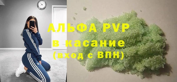 сатива Алзамай