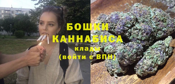 сатива Алзамай