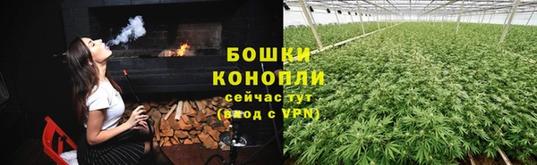 сатива Алзамай