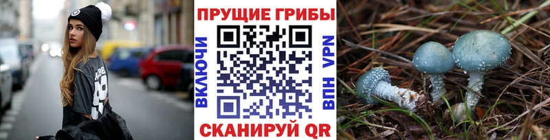 Псилоцибиновые грибы прущие грибы  магазин продажи   MEGA ONION  Коряжма 