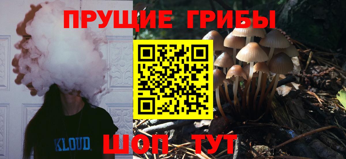 Коряжма  где продают   Вход с VPN  Галлюциногенные грибы MAGIC MUSHROOMS 